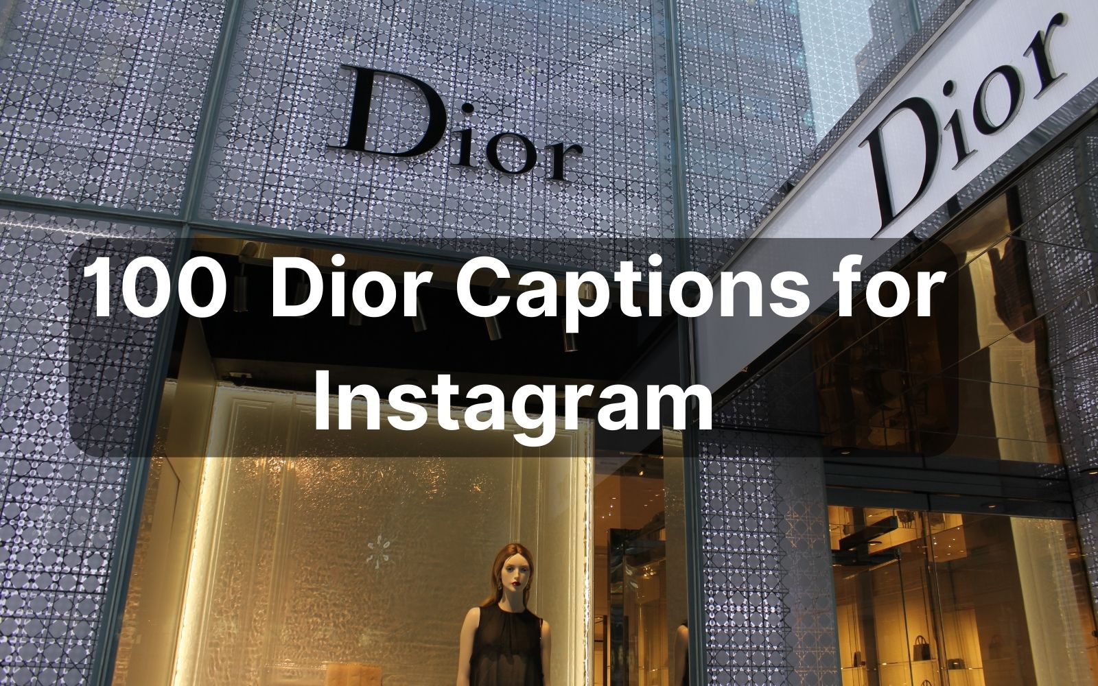 100 Best Dior Captions for Instagram The Perfect Ones for Fashion